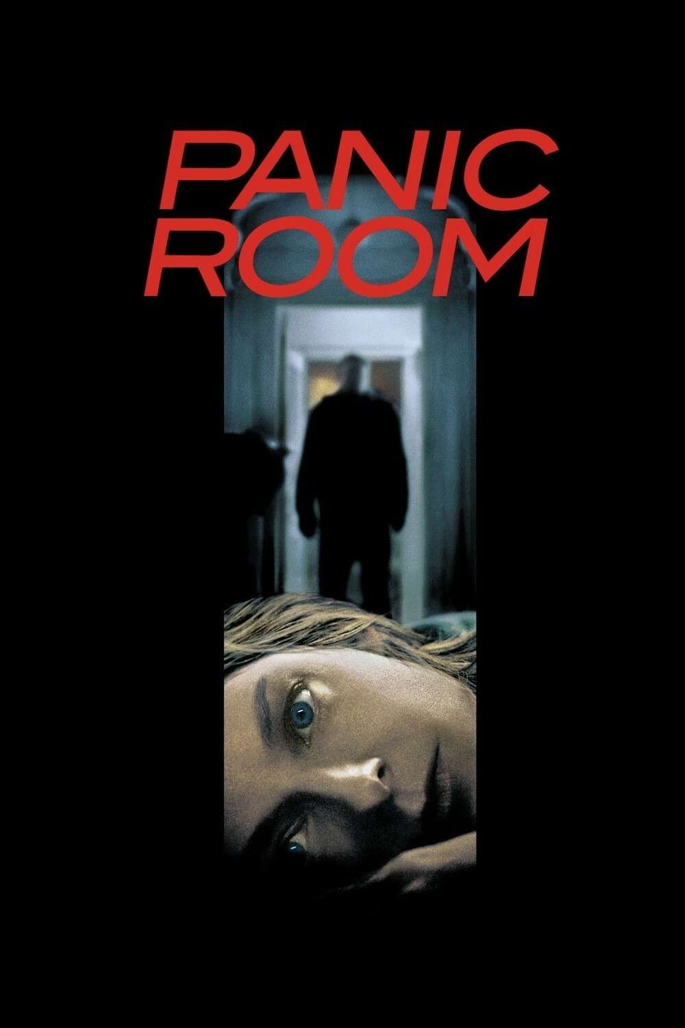 Poster for Panic Room